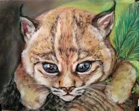 Animales