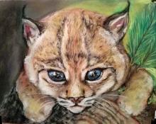 Animales